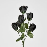 Rosebud Bush Asstd E Box of 60