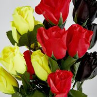 Rosebud Bush Asstd E Box of 60