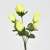 Rosebud Bush Asstd E Box of 60