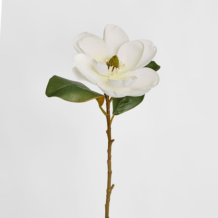 Magnolia Stem 74cm White