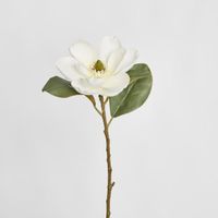 Magnolia Stem 74cm White
