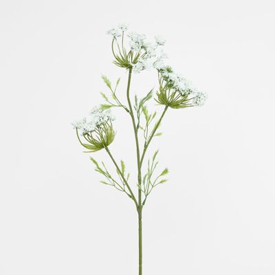 Queen Anne's Lace Spray White