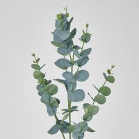 Eucalyptus Spray 97cm