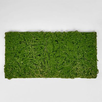 Moss Mat 100x50cm