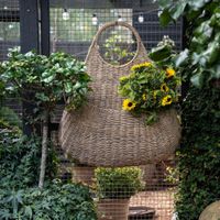 TEAR DROP HANGING BASKET