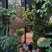 TEAR DROP HANGING BASKET