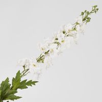 Bella Single Head Delphinium White