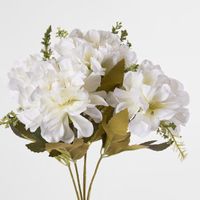 Marigold Bush x 5 Heads White