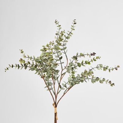 Eucalyptus Bundle 4pce