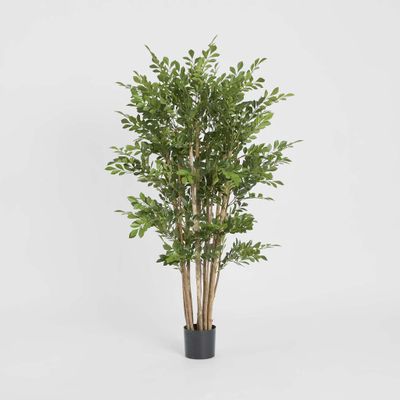 Eucalyptus Mini Leaf Tree 120cm Green