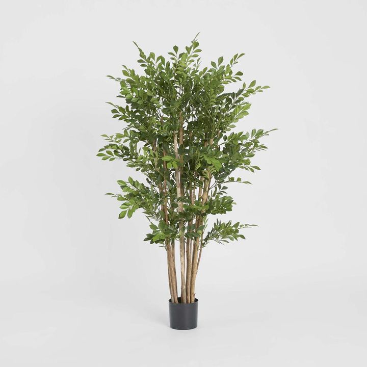 Eucalyptus Mini Leaf Tree 120cm Green