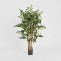 Eucalyptus Mini Leaf Tree 120cm Green