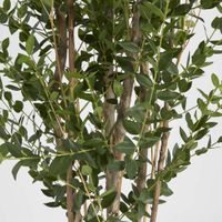 Eucalyptus Mini Leaf Tree 180cm Green