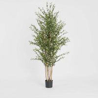Eucalyptus Mini Leaf Tree 180cm Green