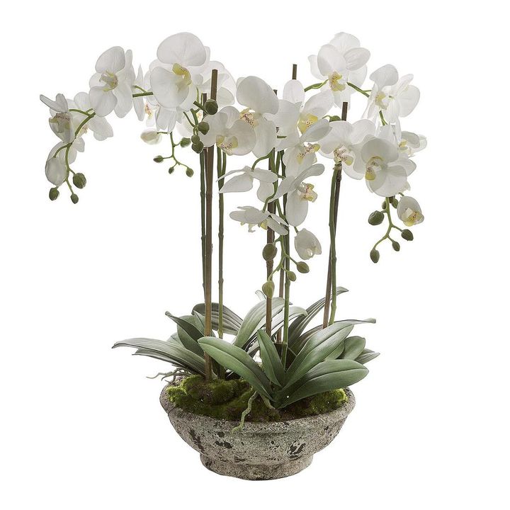 Orchid in Pot 65cm White