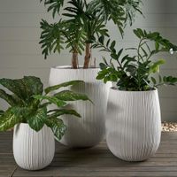 Baxter Planter Set of 3 White