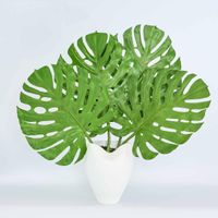 Guan Organic Vase LGE