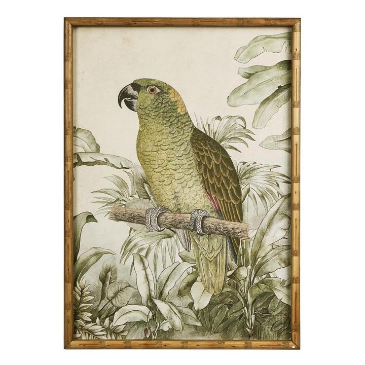 Jungle Parrot Wall Art A
