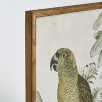 Jungle Parrot Wall Art A