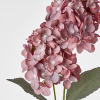 Dark Pink Cone Hydrangea 93cm