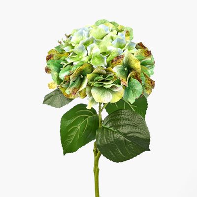 Real Touch Hydrangea 64cm Green