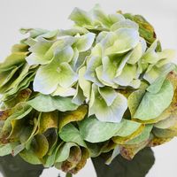 Real Touch Hydrangea 64cm Green