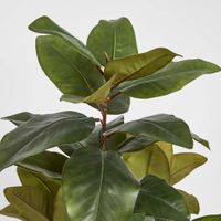 Real Touch Magnolia Tree 1.7M