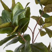 Real Touch Magnolia Tree 1.7M