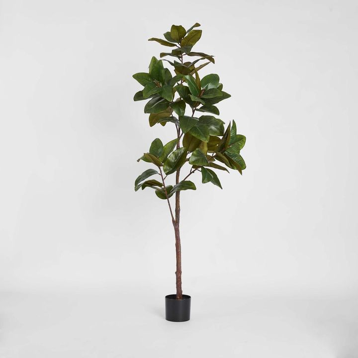 Real Touch Magnolia Tree 1.7M