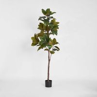 Real Touch Magnolia Tree 1.7M