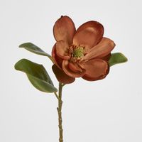 Magnolia Stem 74cm Brown.