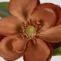 Magnolia Stem 74cm Brown.