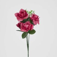 Rose Bush Asstd Box of 60