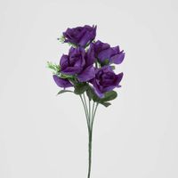 Rose Bush Asstd Box of 60