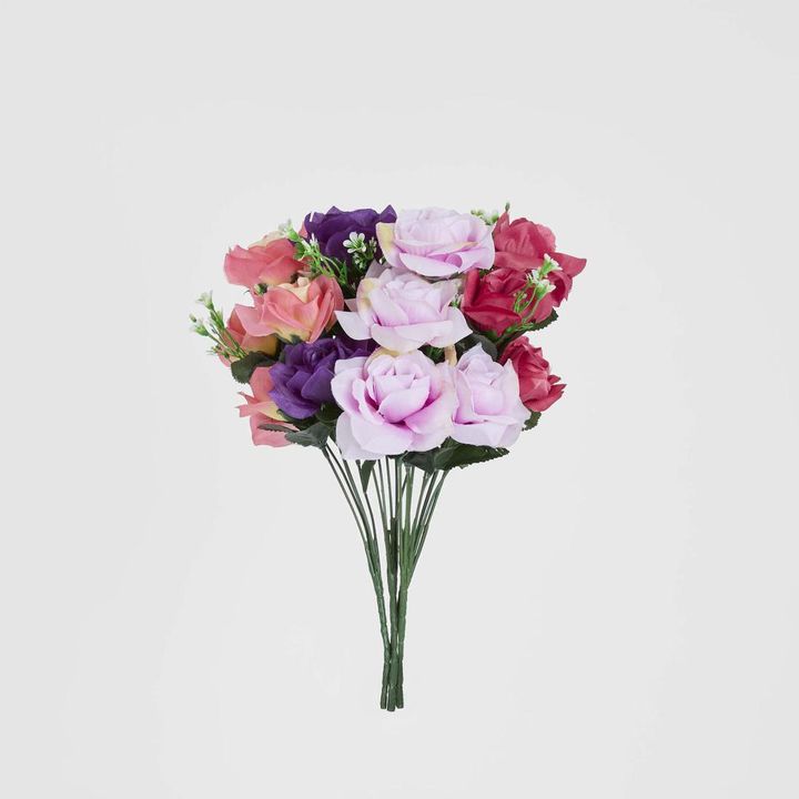 Rose Bush Asstd Box of 60