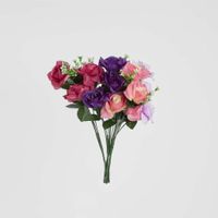 Rose Bush Asstd Box of 60