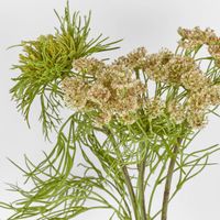 Queen Anne Lace Spray 79cm