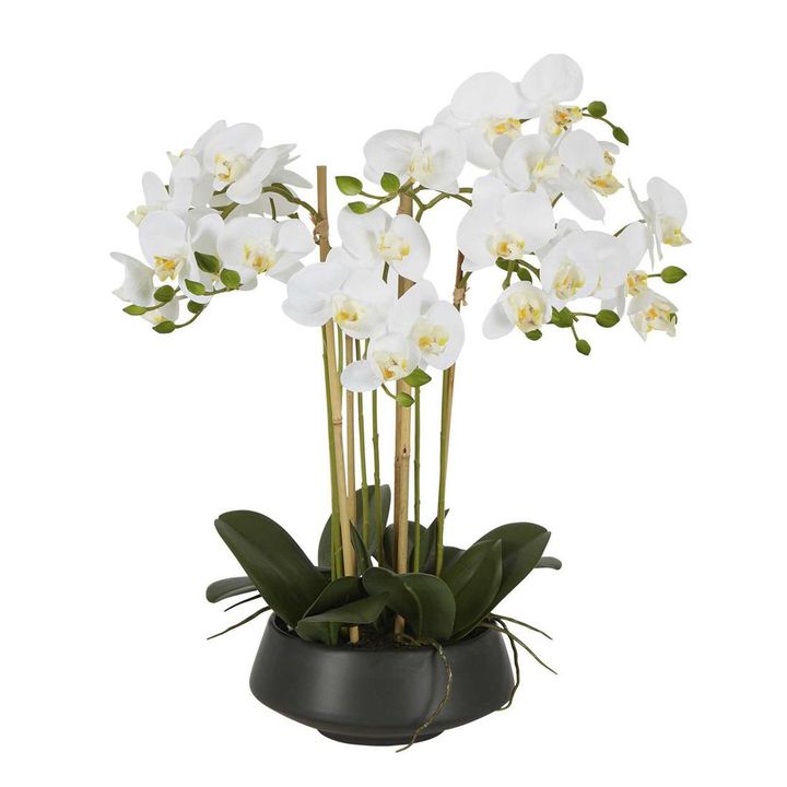 White Orchid in Black Pot Large