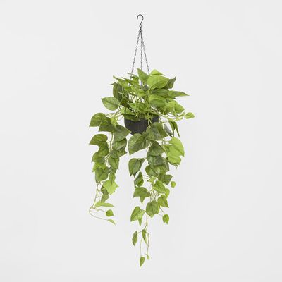 Potted Hanging Real Touch Scindapsus Bush 83cm