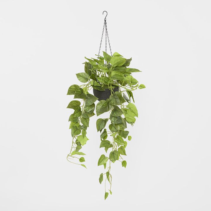 Potted Hanging Real Touch Scindapsus Bush 83cm