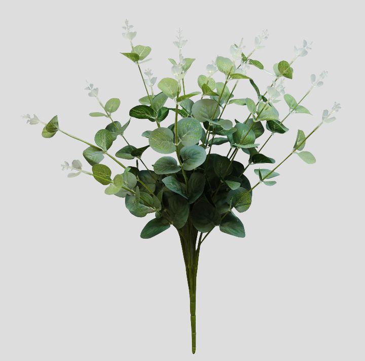 Eucalyptus Bush Dark Green