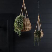 Staghorn Hanging 80cm