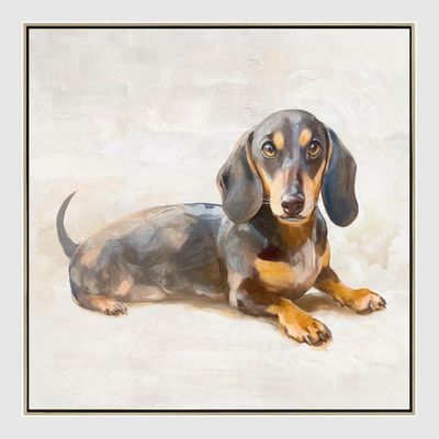 Dachshund Daydream Wall Art 42.5 x 42.5cm.