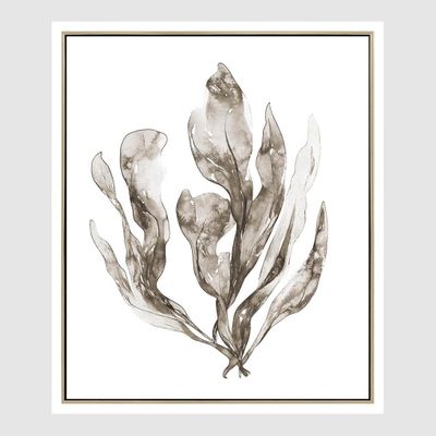 Coastal Botanical B Wall Art 52.5 x 62.5cm.