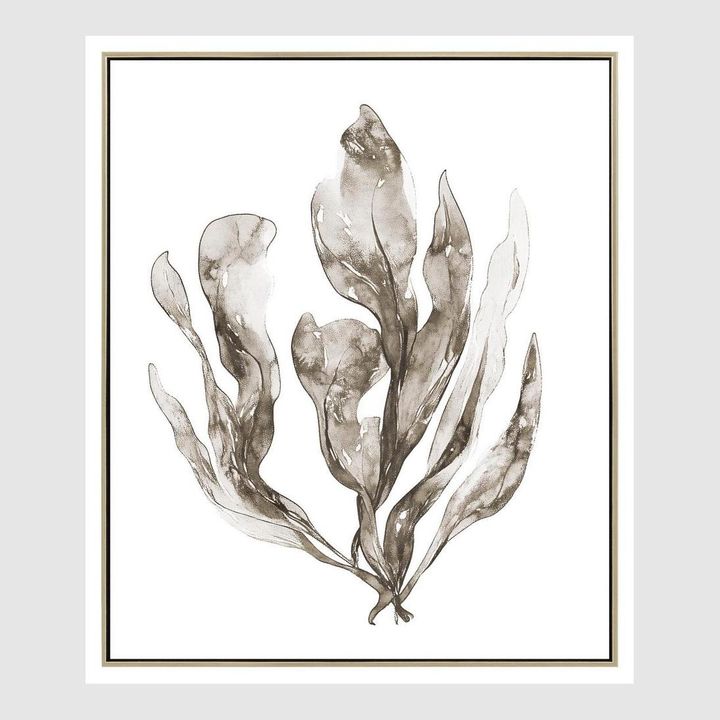 Coastal Botanical B Wall Art 52.5 x 62.5cm.