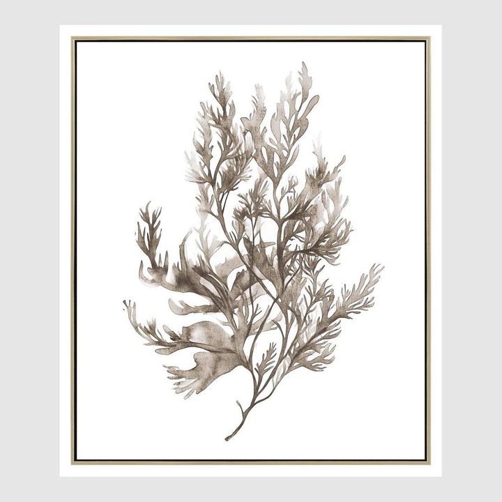 Coastal Botanical A Wall Art 52.5 x 62.5cm.