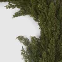 Cedar Garland 180cm