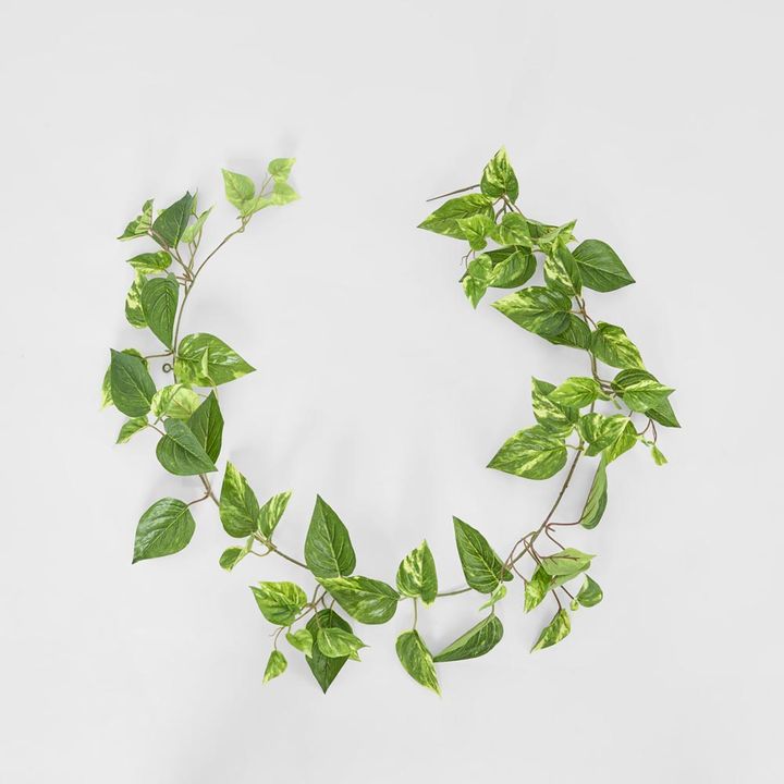 Pothos Garland UV Protected 150cm Light Green