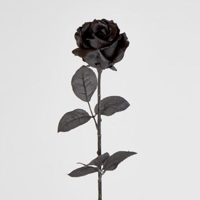 Long Stem Rose Black