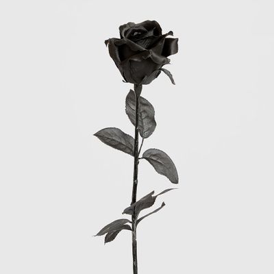 Long Stem Rose Black